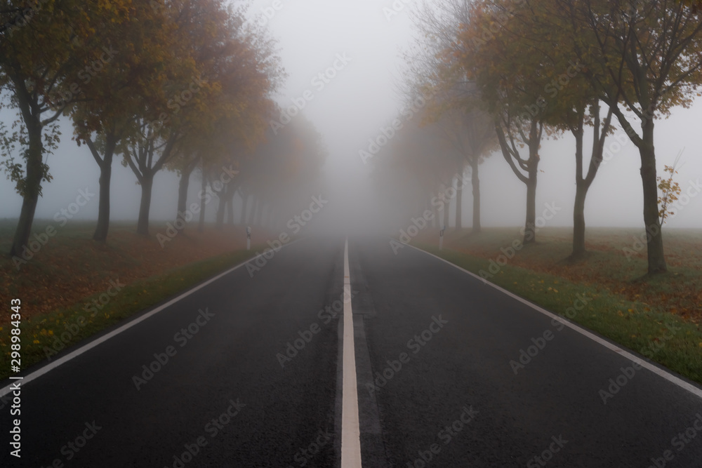 The road in autumn and thick fog
