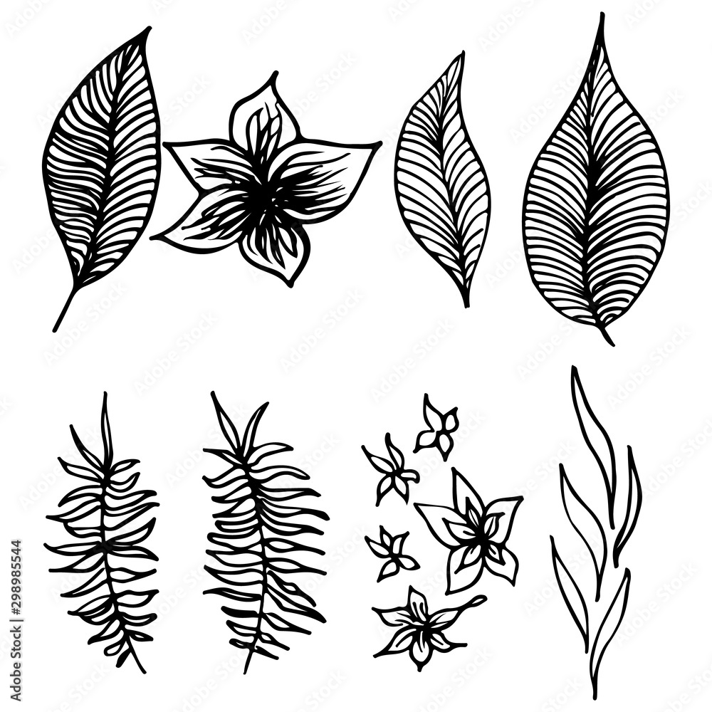 Set of summer tropical flowers. Floral botanical flower set isolated on white background. Hand drawn vector collection. Botanical Hawaii nature. Tropical palm icon. Hawaiian vector tattoo illustration