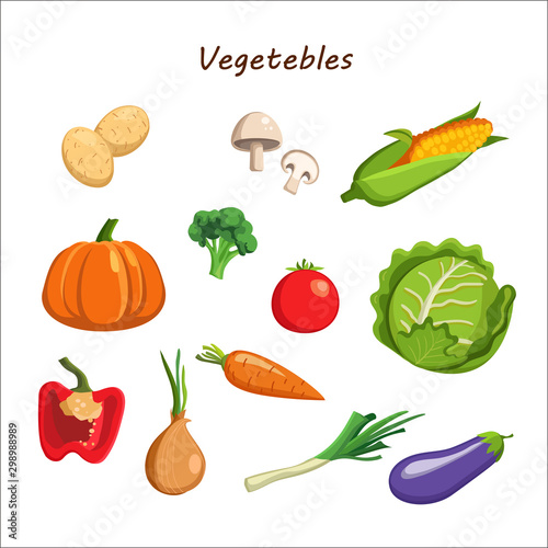 Vector vegetables icons set in cartoon style. mushrooms, cabbage, potatoes, broccoli, pumpkin, onion, pepper, tomato, carrot, eggplant. Collection farm product for restaurant