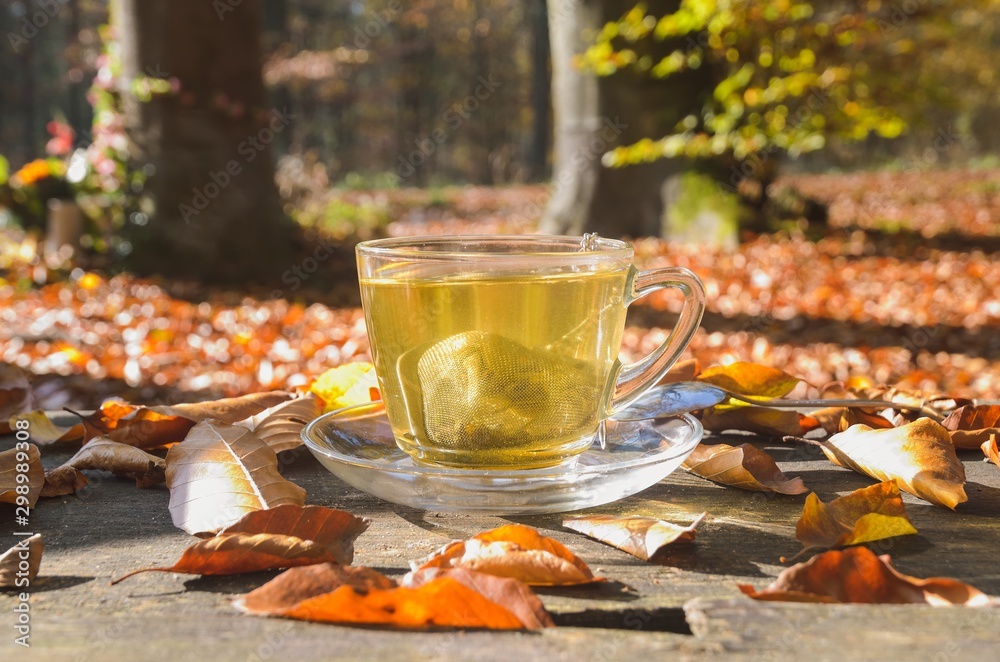 Interesting%20idea%20for%20an%20autumn%20drink.%20Tea%20with%20turmeric%20in%20the%20autumn%20%20forest.%20Stock%20Photo%20|%20Adobe%20Stock