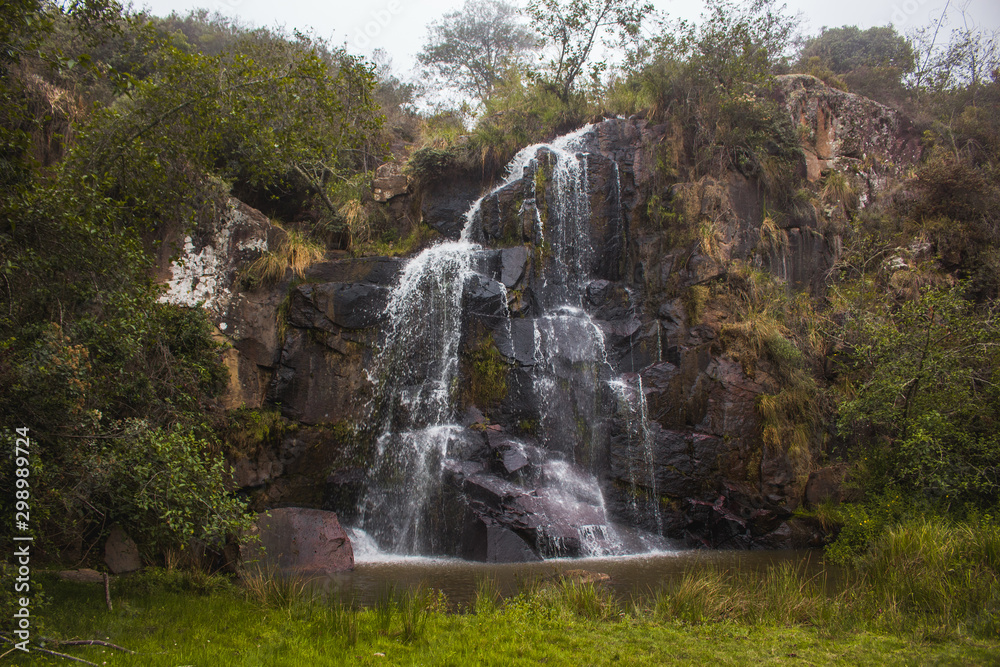 Fototapeta premium a waterfall surrounded by bushes and rocks