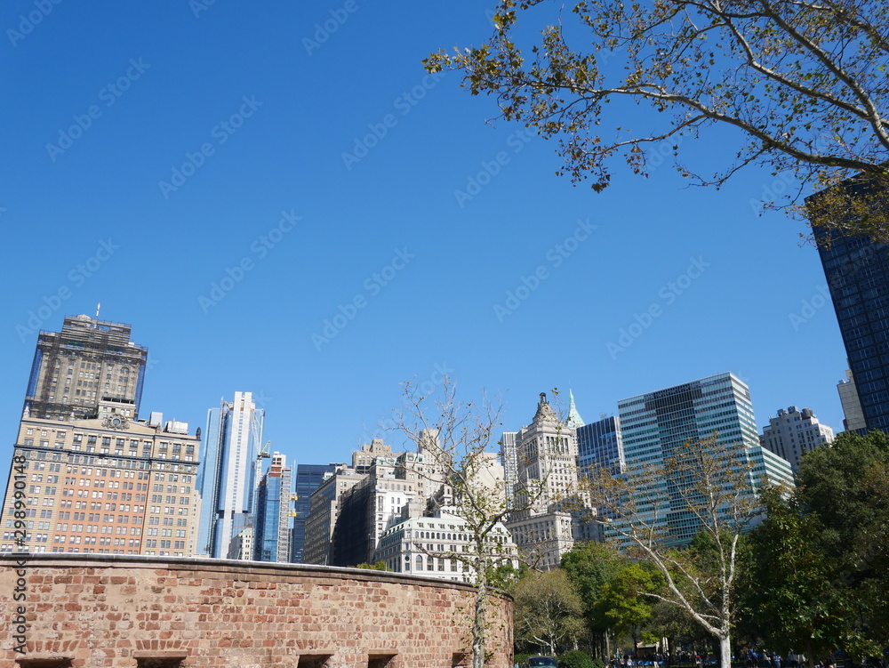 View of Manhattan 
