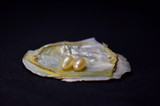  Natural open-sea pearl shell, best quality, beautiful Precious objects