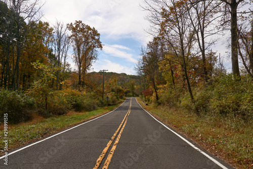 Colorful trees along the road in autumn