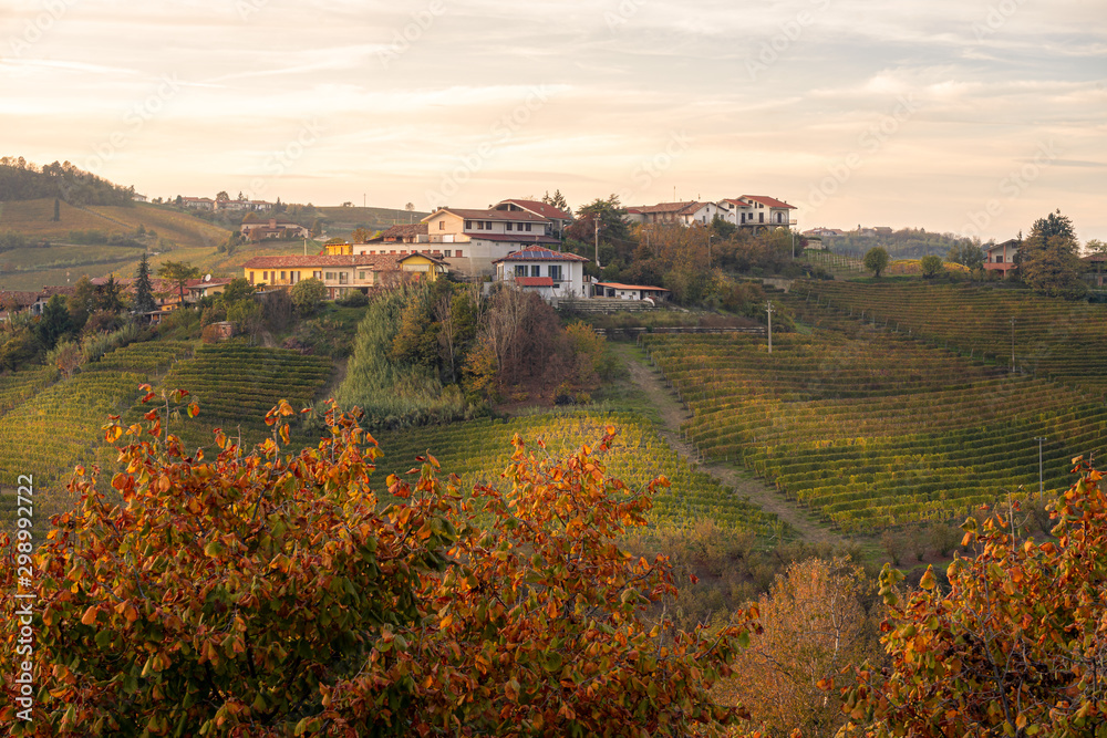 Monforte d'Alba, Cuneo, Piedmont, Italy. Vineyards on a hill with perched above a rural village. In the foreground trees with orange and red autumn leaves (foliage). Panorama at sunset