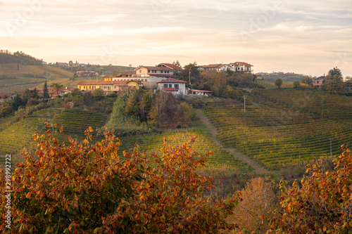 Monforte d'Alba, Cuneo, Piedmont, Italy. Vineyards on a hill with perched above a rural village. In the foreground trees with orange and red autumn leaves (foliage). Panorama at sunset © Emanuele