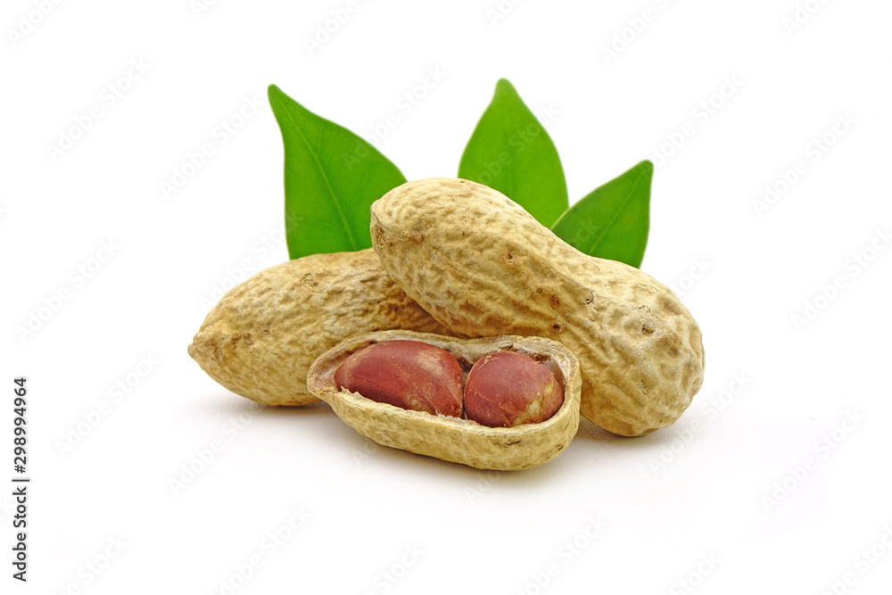nuts isolated on white background nuts isolated on white background