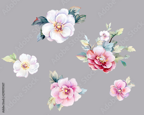  Colorful flowers, the leaves and flowers art design