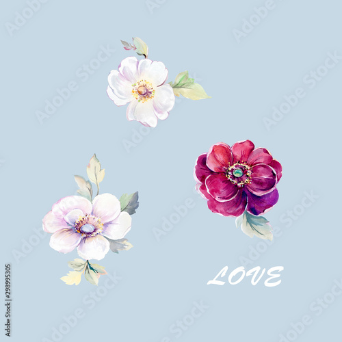  Colorful flowers, the leaves and flowers art design