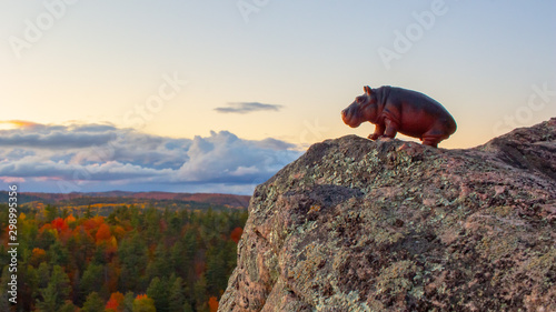 A Hippopotamus Toy Looks Out Over the Forest