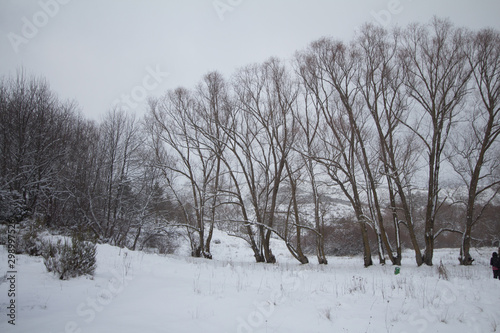 Wallpaper Mural lago di Campotosto (ABRUZZO) Torontodigital.ca