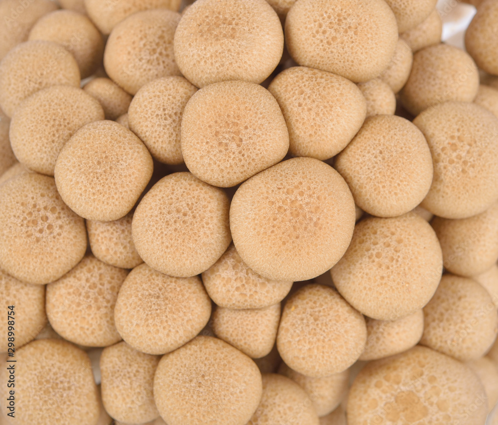 fresh buna shimeji (brown beech) mushroon as a background fresh buna shimeji (brown beech) mushroon as a background