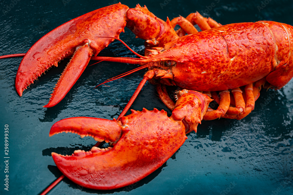 Steamed lobster seafood on black background Steamed lobster seafood on black background