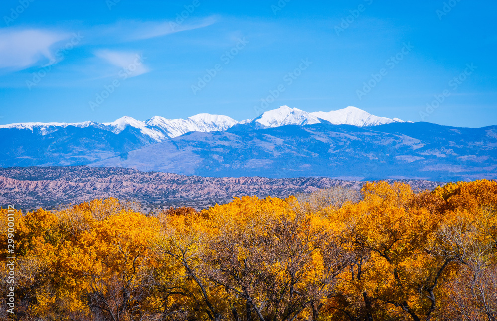 Beautiful Autumn Foliage in New Mexico 