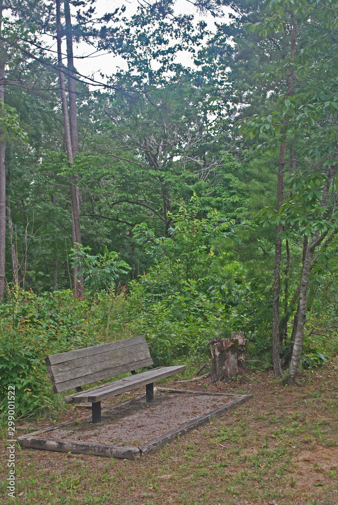 Fototapeta premium Bench in the forest