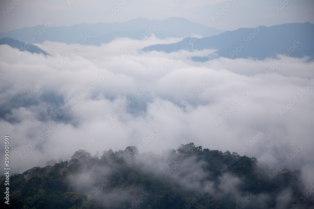 Landscape of the mountain with fog over the forest at Thailand. The fog that covered the forest in the mountains in the morning.