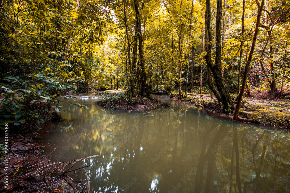 Obraz premium The natural background of the water flowing through rocks, natural waterfalls, blur of flowing water surrounded by various plants, the integrity of the ecosystem.