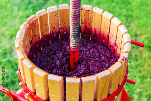 Wine press machine with red must and helical screw. Crusher, wooden winepress on grass outdoors.Concept of small craft business. Grape harvest. Special equipment for the production of wine, winemaking