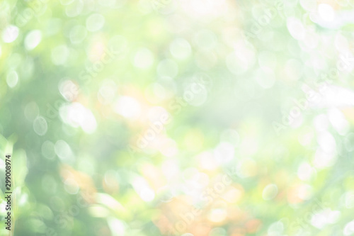 Abstract blur green nature bokeh background