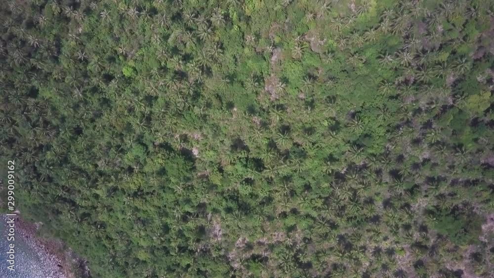 Aerial Top Down View Going Over Forested Island Cliff To Open Waters Aerial Top Down View Going Over Forested Island Cliff To Open Waters