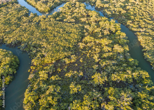 Aerial of a small river in the middle of a wet landscape with small trees, mangroves. Perfect relaxing view for yoga, kayak or jogging, walking at sunrise