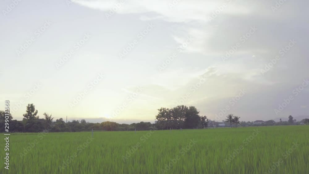 The fields and the evening sky are about to set. The fields and the evening sky are about to set.