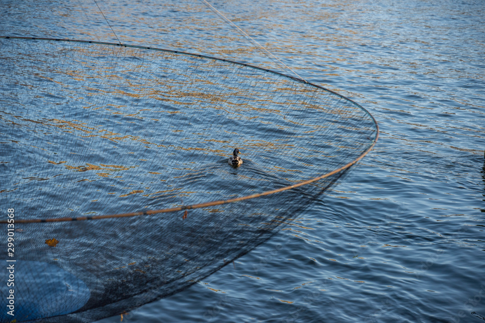 Duck and ring net fishing gear in the harbour of stockholm Stock Photo