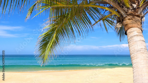 tropical beach with palm trees at phuket beach