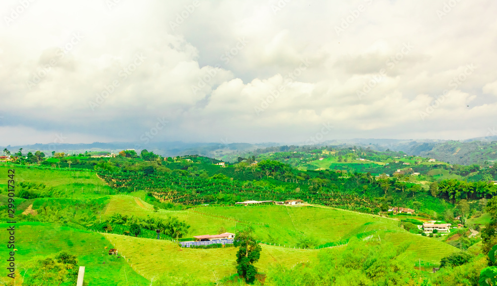 eje cafetero colombia quindio armenia salento cafe ecoturismo rural ...
