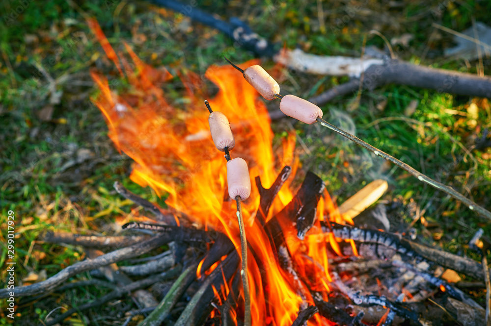 Obraz premium fried sausages on a fire during a picnic in the woods