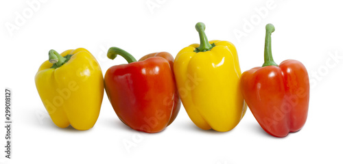 Yellow peppers, red peppers, aligned alternately, white background