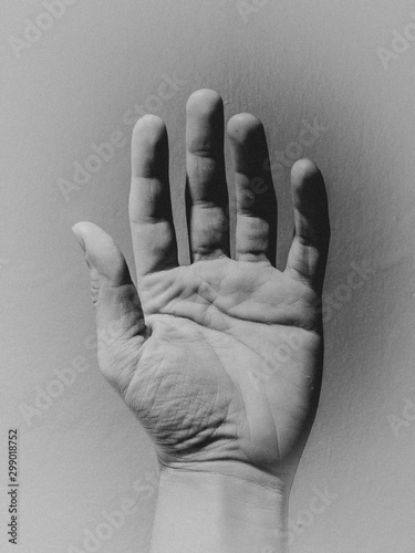 hand portrait