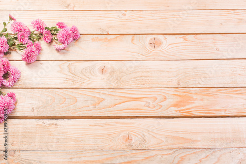 pink  chrysanthemums on  wooden background