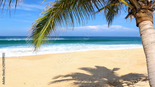 tropical beach with palm trees at phuket beach