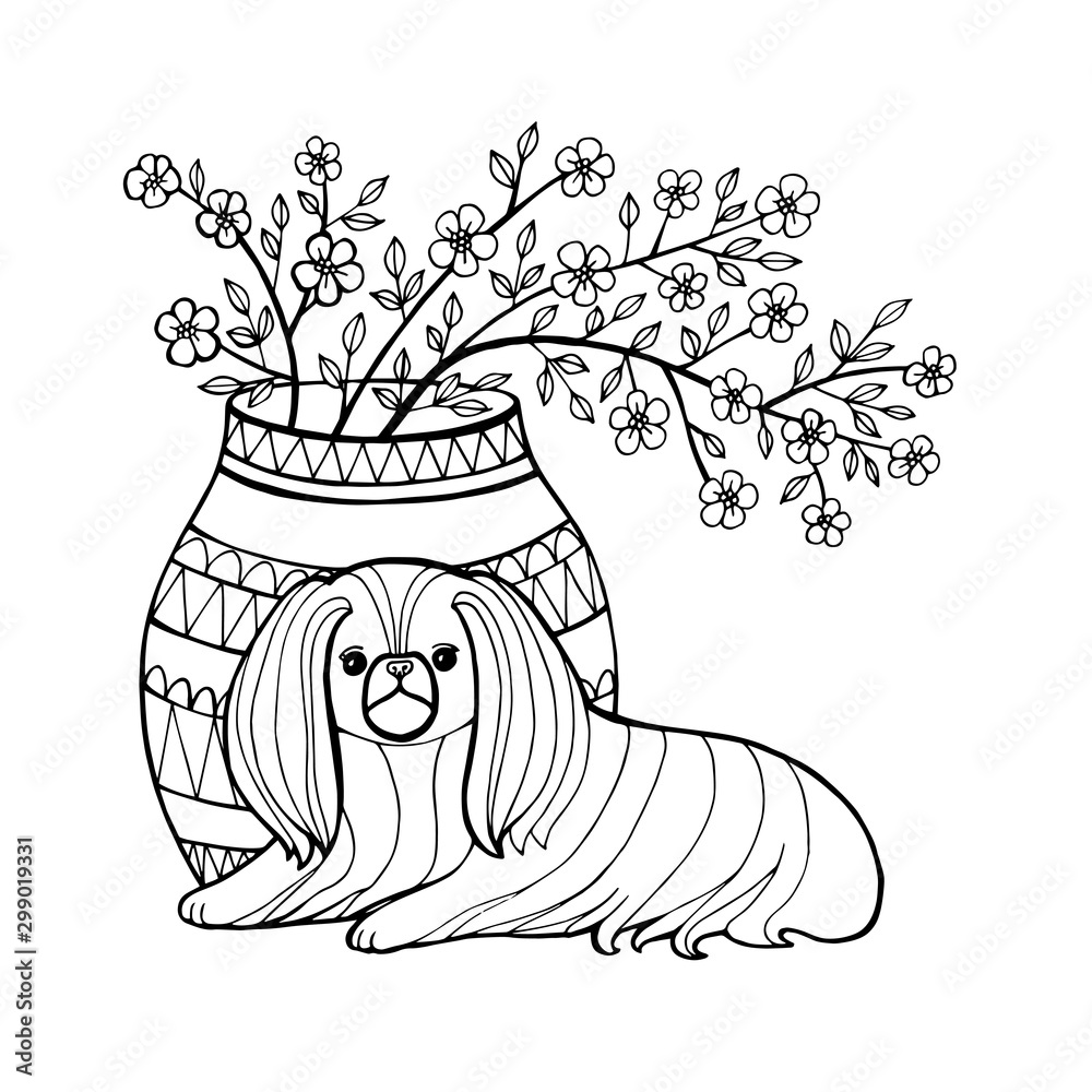 Pekingese. Decorative breed dogs. Coloring book page. Vector