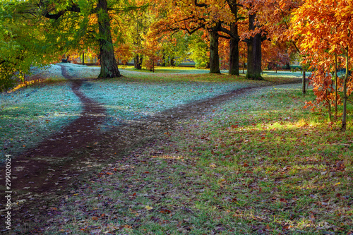 Vászonkép Splitting the footpath in the park. Autumn landscape