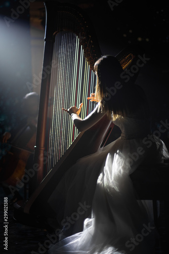 Fototapet girl playing the harp on stage
