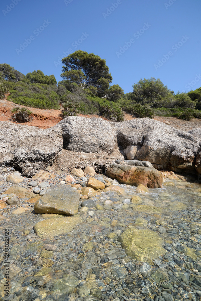 rocks and posidonia plant on beach in a bay of Punta Giglio of Porto Conte Natural Park in Sardinia