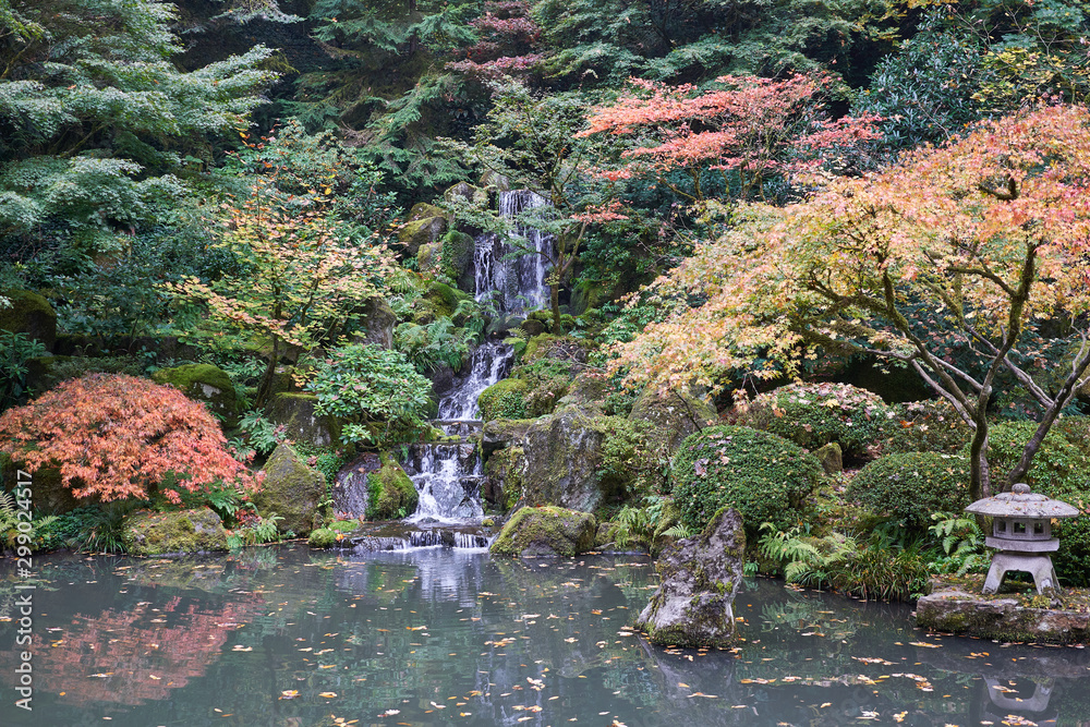 Portland Japanese Garden in the fall.