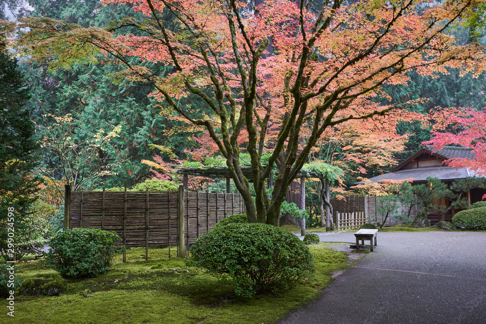 Εκτύπωση καμβά Portland Japanese Garden in the fall.
