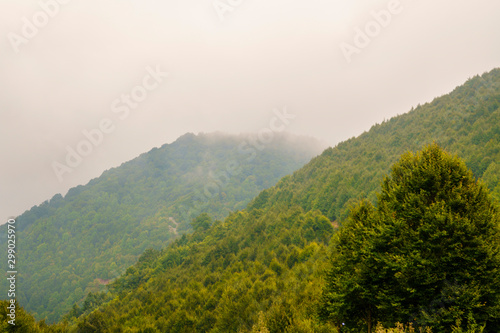 Foggy mountain view. © Stockwars