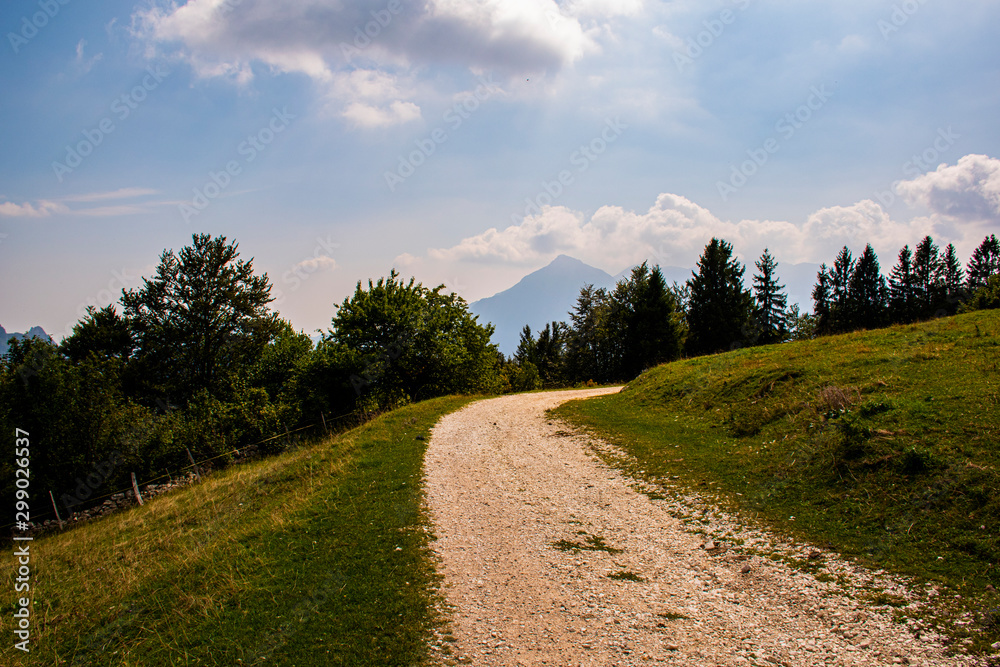 path with grass and picks path with grass and picks