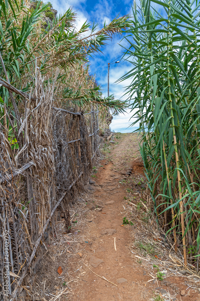Küstenwanderweg von Santana nach Sao Jorge, Madeira Küstenwanderweg von Santana nach Sao Jorge, Madeira