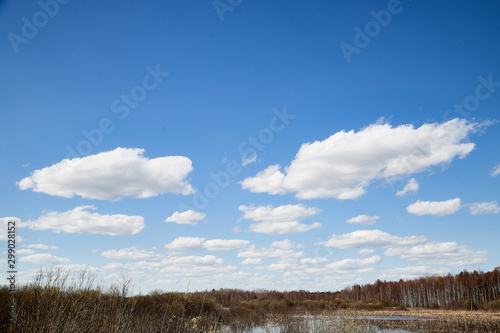 Spring flood of the river and blue sky and white clouds over it © keleny