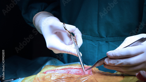 veterinarian surgery in operation room