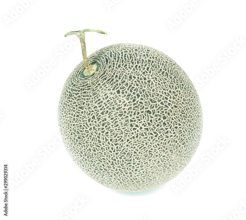 green melon isolated on white background photo