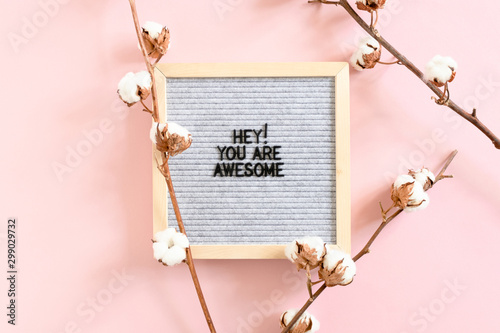 Fotótapéta Cotton branches and letterboard with quote Hey you are awesome