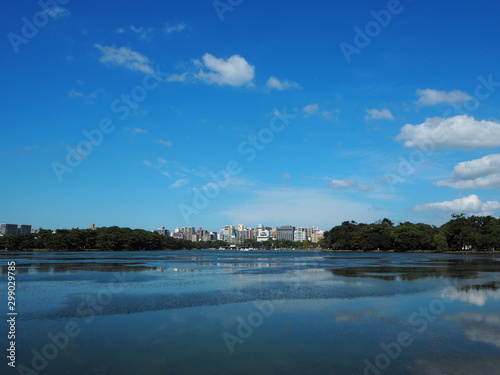 青空が移った公園の池