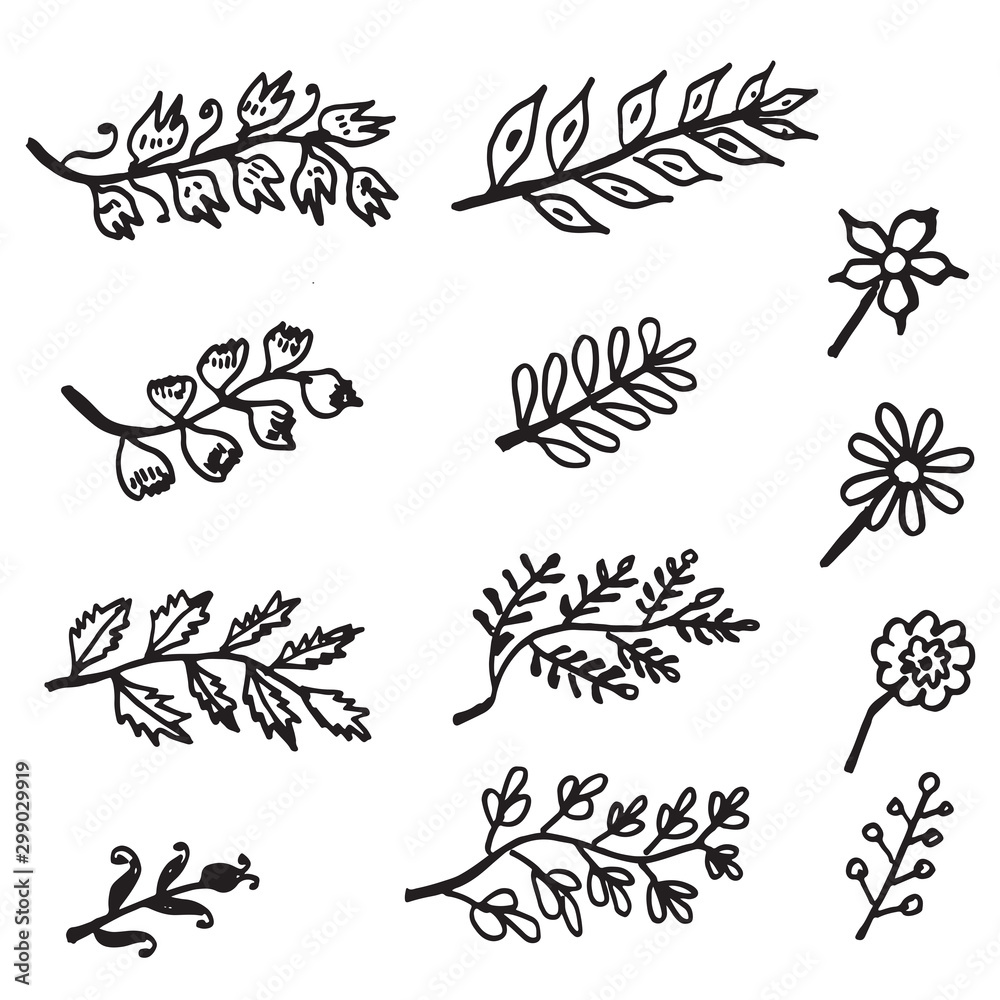 Hand drawn branches with leaves isolated on white background. Botanical vector illustration. Hand drawn branches with leaves isolated on white background. Botanical vector illustration.