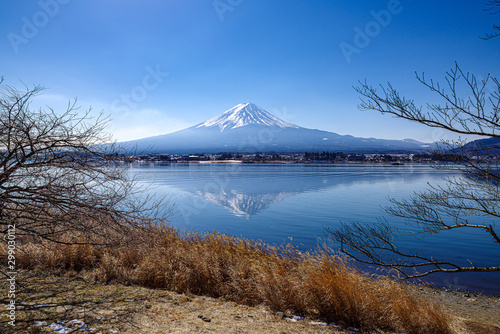 河口湖湖畔と富士山 © bigterry